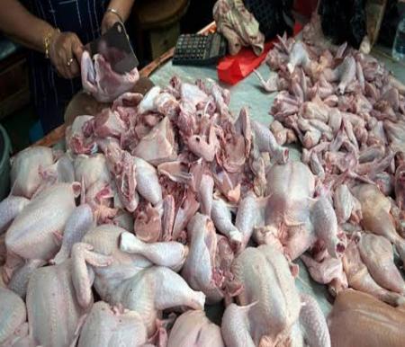 Ilustrasi harga ayam ras di Kota Pekanbaru terbilang mahal (foto/int)
